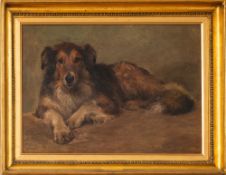 A.O.W (?), early 20th Century - 'Collie Dog' - Oil on canvas