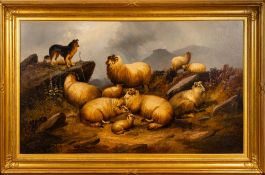 Alfred Morris (19th Century) - Study of Sheep and a Collie dog - Oil on canvas
