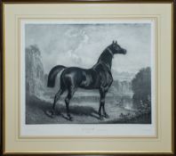 After Alfred de Dreux (1810-1860) - 'Ali', an Arabian stallion