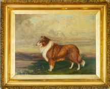 20th Century English school - A collie dog in an expansive landscape - Oil on board - Unsigned -
