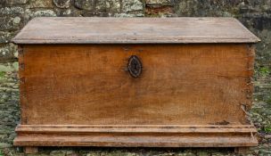 A Continental stained hardwood coffer, 18th/19th century; with hinged cover; 61cm high, 121cm wide,