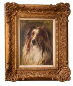 Attributed to Robert L Alexander (Scottish, 1840-1923) - Study of a head of a collie