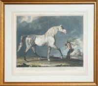 Whessell after Benjamin Marshall (1767-1835) - 'Lop' - Engraving with later hand colouring,