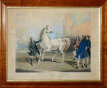 After Francis Calcraft Turner - The Darley Arabian 'Roxana' - Aquatint with later hand colouring
