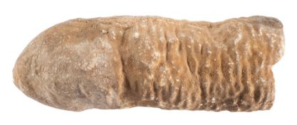 A calcite stalagmite, 31cm high