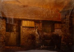 Late 19th / early 20th Century - Study of a horse outside a stable - Crystoleum print - 34 x