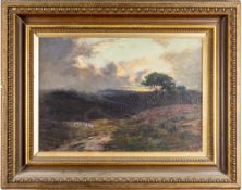 Late 19th /early 20th Century - Sheep in a landscape - Oil on canvas - Unsigned - 35 x 50cm,