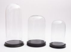 A group of three contemporary glass domes. All with wooden bases, tallest 26cm high.