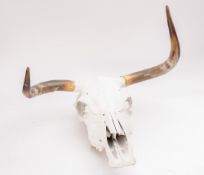 A plaster of paris model of a Buffalo skull with horns.