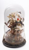 A late Victorian taxidermy group of Humming birds,