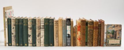 CHILDREN'S, ILLUSTRATED, Miscellaneous.