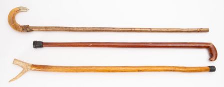 A collection of various walking canes and walking sticks,