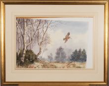 * Robert W Miliken (British, 1920-2014) - Woodcock flying by a copse of silver birch