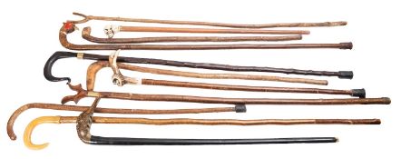 A group of nine various walking cakes and sticks including two horn mounted shepherds crooks (9)