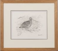 * Robert W Miliken (British, 1920-2014) - A study of a Woodcock