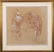 * Richard Ward (Irish, b1944) - 'Peregrine Falcons',