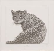 * Gary Hodges [b.1954]- Jaguar; Lion,:-