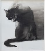 * John Harris (British, b 1948) - Study of a black cat