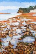 Jo Thompson (Contemporary) - A view of Shaldon,
