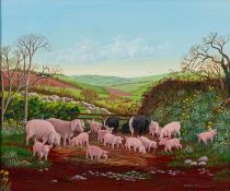 Betty Odello Marshall (Contemporary) - Pigs and Sheep in a landscape - Oil on board - Signed