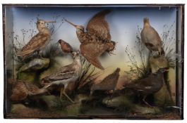 Taxidermy; a preserved and mounted group of birds, by James Gardner,