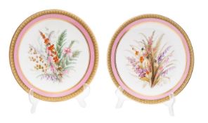A pair of Royal Worcester botanical dessert plates,