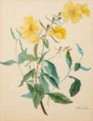 Attributed to James Holland (British,