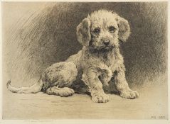 Herbert Dicksee (British, 1862-1942) - 'Dandie Pup' - Etching - Signed lower left - 25 x 35cm,