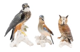 Three Karl Ens porcelain bird figures comprising a Kestrel, Jay and a Long Eared Owl, printed marks,