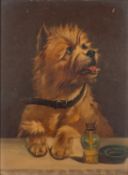 19th or early 20th Century school - A study of a Cairn Terrier - Oil on board - Unsigned