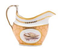 A rare Thomas Rose Coalport cream jug decorated by Thomas Pardoe in Bristol,