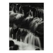 Ansel Adams (1902-1984); Fern Spring, Dusk, Yosemite Valley, California;
