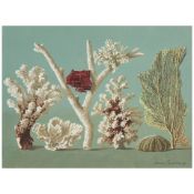 ALLEN SAALBURG (1899-1987) Corals 10 x 13 in. (25.4 x 33 cm.)