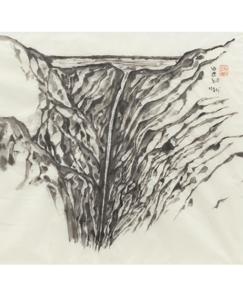 Modern and Contemporary South Asian Art
