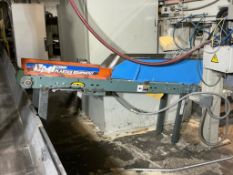 Hytrol Belt Conveyor