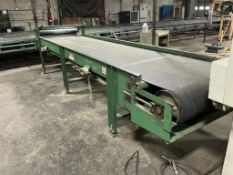 Mellott Flat Belt Conveyor