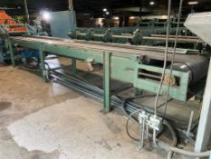 Mellott Infeed Belt Conveyor