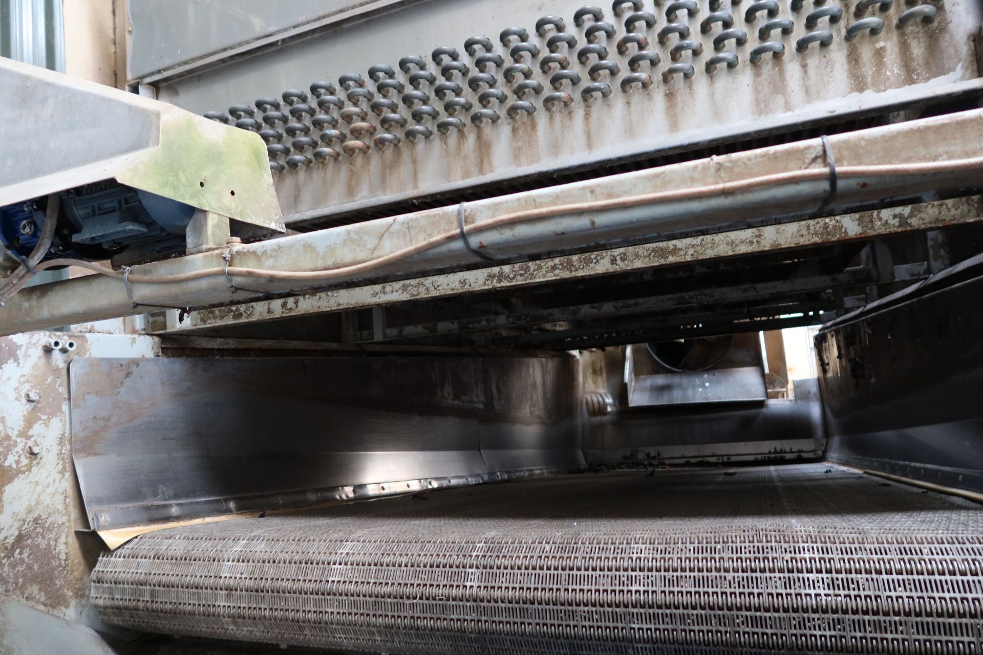 Tong Peal Hydro Cooler for fruit and vegetables, with wide belt web conveyor, 2014, DC s/steel - Image 6 of 14