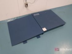 Uline Floorscale and Incline Ramp