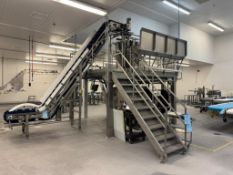 **BULK LOT CONSISTING OF: LOT#3 TO LOT#7** With Ishida Scale Inclined Rubber Pleated Belt Feed Conve
