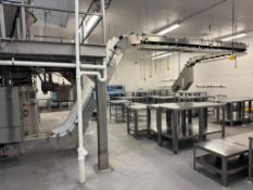 Hayssen Sandiacre Inclined Rubber Pleated Belt Discharged Conveyor. Approximate 48" horizontal, 8' i