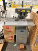 DESCRIPTION CHALLENGE THREE-SPINDLE PAPER DRILL. BRAND/MODEL: CHALLENGE PAPER DRILL INFORMATION: HEA