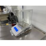 Sartorius Analytical Balance CPA124S