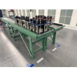 Roach 12' Roller Conveyor
