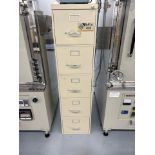 5 Drawer File Cabinet