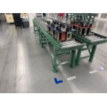 Roach 12' Roller Conveyor