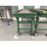 Roach Conveyor systems