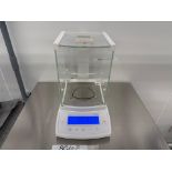 Sartorius Analytical Balance CPA124S