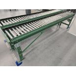 Roach 12' Roller Conveyor
