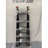 Little Giant Fiber Glass Ladder